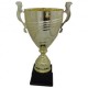 Trophy C040